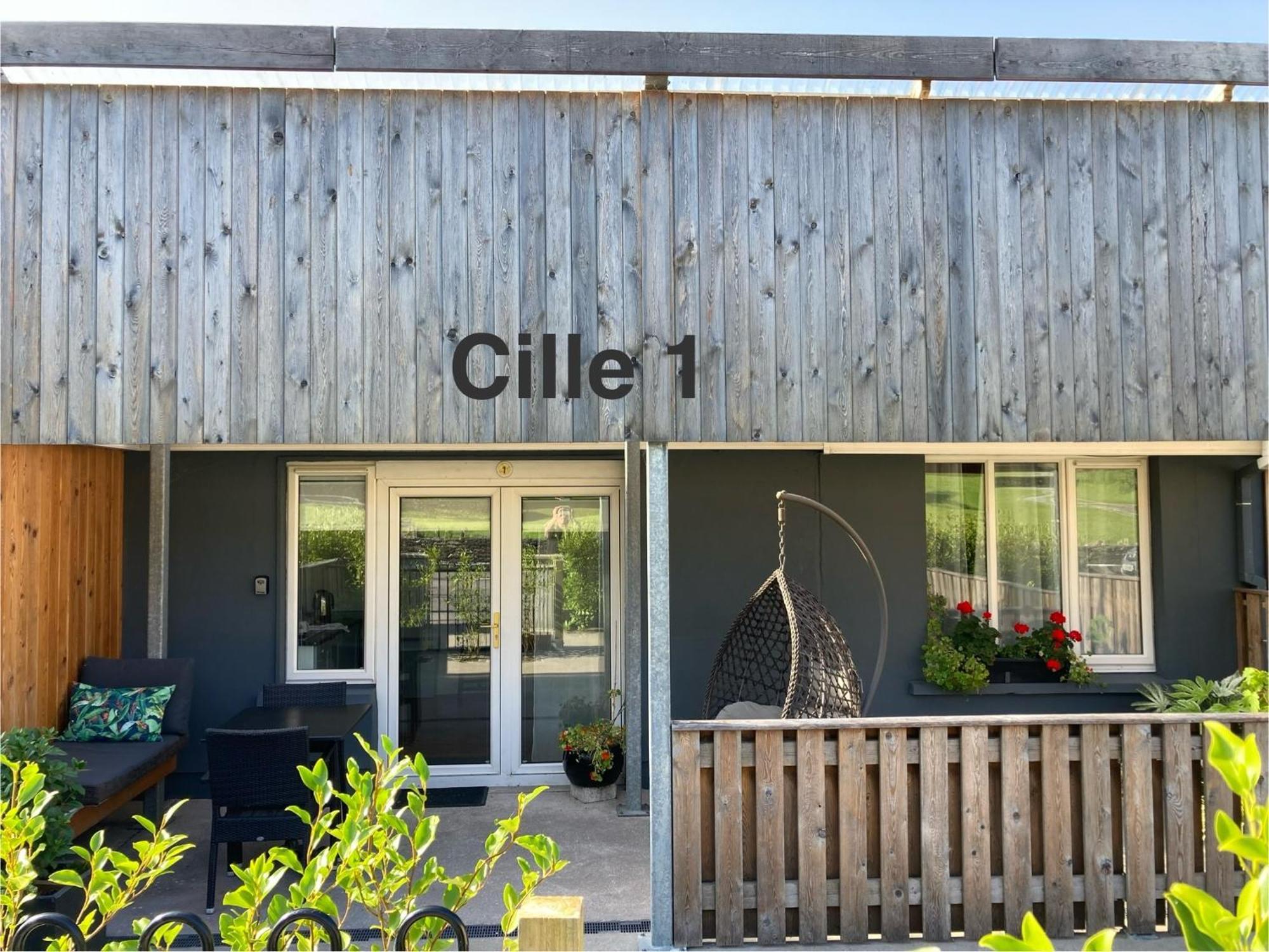 Cille Apartments, Ballyferriter Village מראה חיצוני תמונה